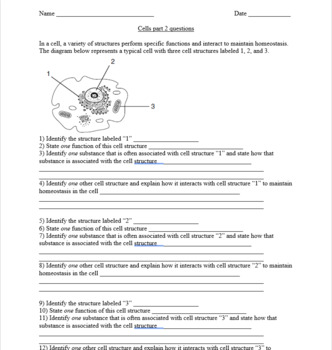 Living Environment Regents Question Set 2B Cells and Membrane Transport