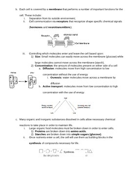 Living Environment Regents Review Packet 2 of 5 | TpT