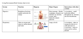 Preview of Living Environment Regents Review Sheet - Body Systems Chart