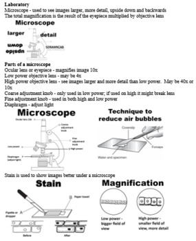 Preview of Living Environment Regents Review Sheet - Scientific Method, Microscope, Graph