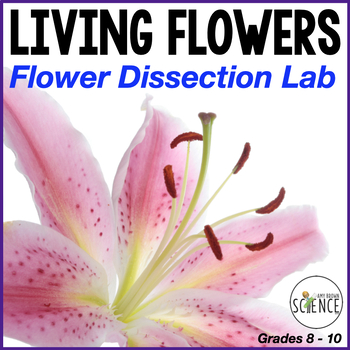 lily dissection lab