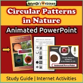 Math Art Circular Patterns PowerPoint Thematic Unit Plan |