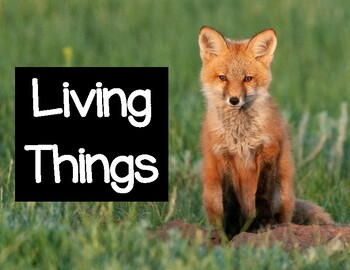 Preview of Living Things Posters (can, need)