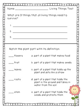 Living Things - Science Test for 2nd Grade by Primary Divas | TPT