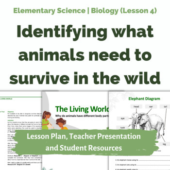 Preview of Living Things - What do animals need to survive in the wild? (Lesson 4)