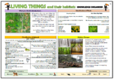 Living Things and their Habitats Knowledge Organizer (for 