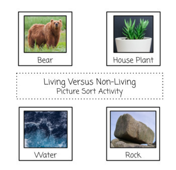 Preview of Living Versus Non-living Picture Sort Activity