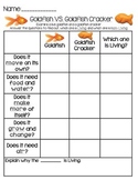 Living and Non-Living: Goldfish VS. Goldfish Cracker Recor