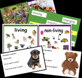 Living and Non Living Google Slide, Kindergarten, Online Learning