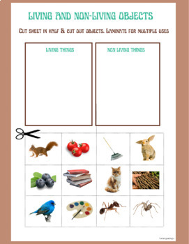 Preview of Living and Non-Living Object Sort 