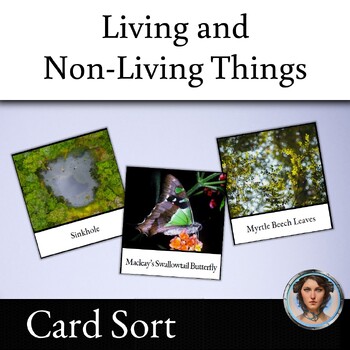 Preview of Living and Non-Living Things Card Sort Activity - Tarkine Rainforest Australia