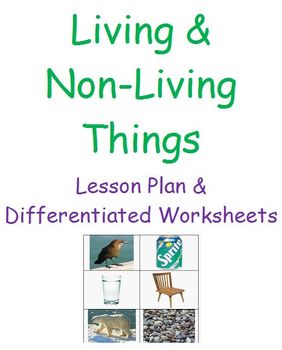Preview of Living and Non-Living Things (Lesson Plan & Differentiated Worksheets)
