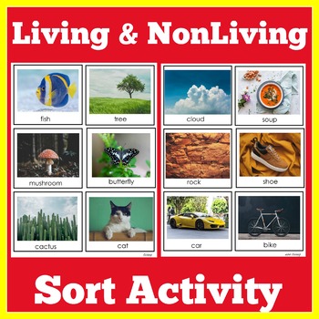 Living And Non Living Kindergarten Teaching Resources Tpt