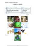 Living and Non-Living Things/The Scientific Method: Step by Step