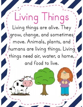 Living and Non Living Things Unit by The First Grade Flair | TpT