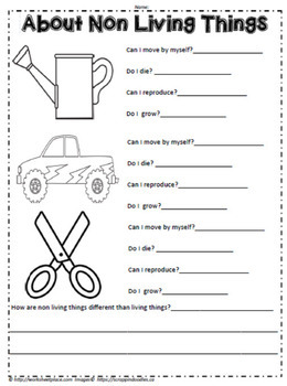 Living and Non Living Things Worksheets by Worksheet Place | TpT