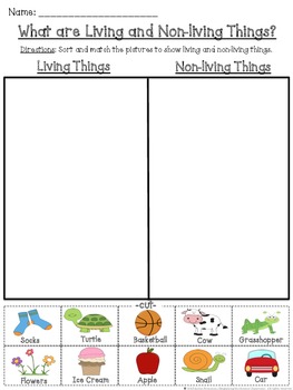 Living and Non-living Things Cut and Paste Sorting Activity | TpT
