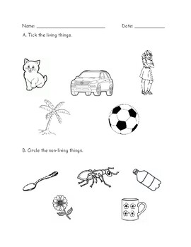 Preview of Living and Non-living Things Worksheet