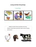 Living and Non living things workbook for 2nd grade