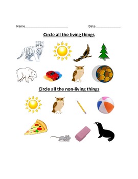Living and Non-living things worksheet by Bryan | TpT