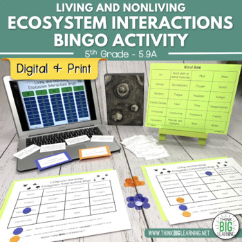 Preview of Living Nonliving Ecosystem Interactions Bingo Activity | STAAR Review Aligned