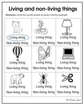 living and nonliving things cambridge primary science year 3 unit 3