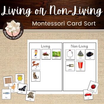 Preview of Living or Non-Living Montessori Card Sort