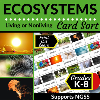 Preview of Living or Nonliving | Ecosystems | Card Sort