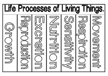 7 life processes of living things