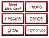 Living vs. Non-Living - Meet Mrs. Gref