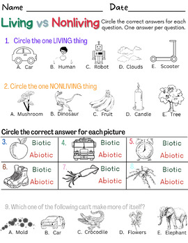 Preview of Living vs Nonliving Mini Assessment (Elementary)