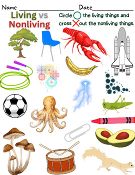 Preview of Living vs Nonliving X or O Activity