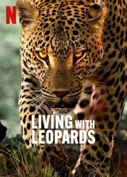 Preview of Living with Leopards - (2024) - Netflix Film - Movie Guide