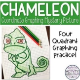 Chameleon Lizard Coordinate Graphing Picture