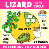 Lizard Life Cycle Activities for Centers - OT - Pre-K and 
