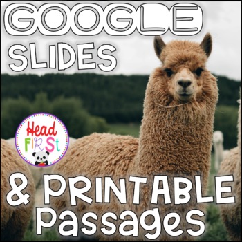 Preview of Llamas NONFICTION GOOGLE and PRINTABLE Passages and Writing Activities