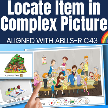 Preview of Locate Item in Larger Complex Picture Photo Cards Aligned with ABLLS-R C43