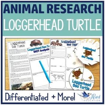 Preview of Loggerhead Sea Turtle Reading Passages | Animal Adaptations and Life Cycles