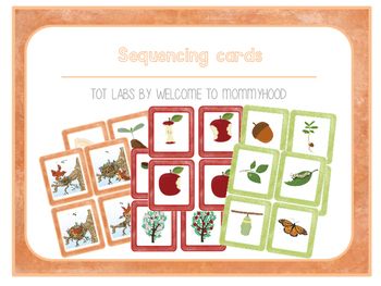 Preview of Logic Sequencing Cards (Montessori Inspired)
