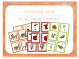 Logic Sequencing Cards (Montessori Inspired)