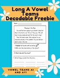 Long A Vowel Team Decodable Phonics Passage with Comprehen