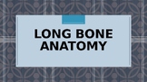 Long Bone Anatomy PowerPoint (anatomy & physiology)
