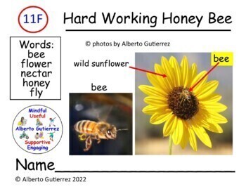 Preview of About Bees: Hard Working Honey Bee #11F Computer Reading File