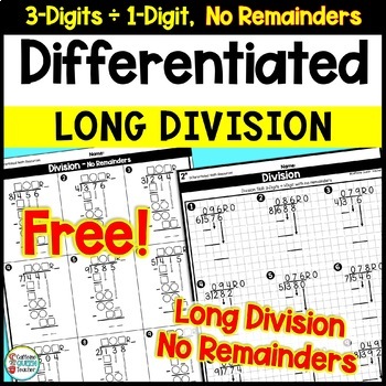 Preview of Long Division Practice Worksheets and Organizers Differentiated FREE