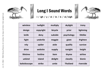 Long I Sounds - Grades 3 - 6 or Special Education Phonics Activity