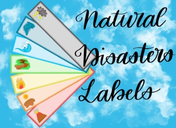 Preview of Long Natural Disaster Labels