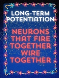 Long-Term Potentiation Classroom Poster Psychology