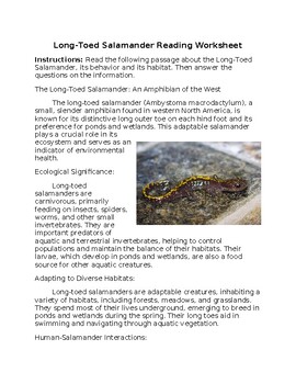 Preview of Long-Toed Salamander Reading Worksheet w/Answer Key **Editable**