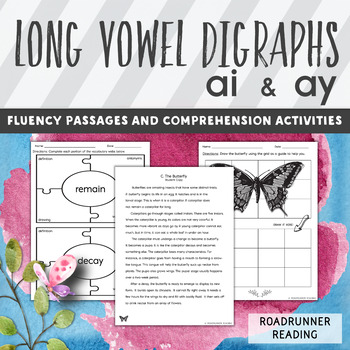 Preview of Long Vowel Digraphs AI and AY Fluency Passages and Word Study