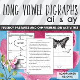 Long Vowel Digraphs AI and AY Fluency Passages and Word Study
